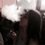 Alena_Stl